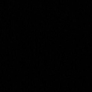 Meet your Posher, Ella